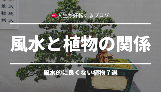 これを見れば大丈夫！風水と植物の関係【風水的に良い植物７選！】