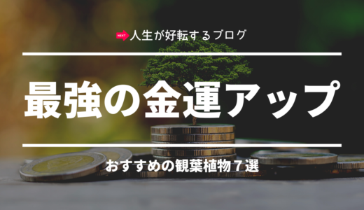 最強の金運アップ【観葉植物おすすめ7選】